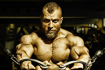 Image showing handsome bearded bodybuilding man