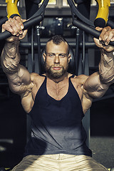 Image showing handsome bearded bodybuilding man