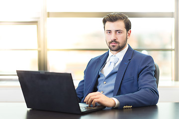 Image showing Businessman in office working on laptop computer.