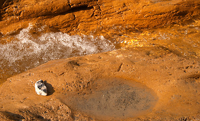 Image showing Close-up of moving water