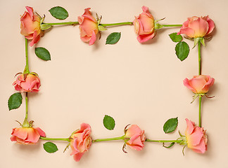 Image showing frame of pink roses