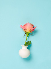 Image showing pink rose in white vase on blue background