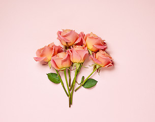 Image showing bouquet of pink roses