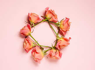 Image showing pink roses on pink background