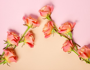 Image showing pink roses on colorful paper background