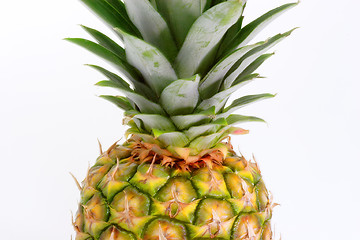 Image showing Detail from pineapple fruit