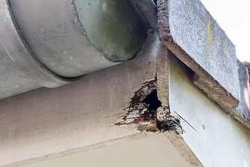 Image showing Rotten wood on top of house
