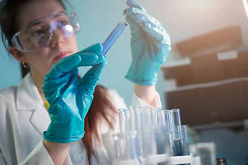 Image showing Woman works with laboratory test