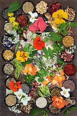 Image showing Flowers and Herbs for Natural  Healing