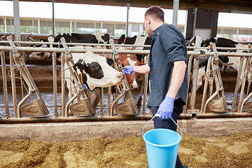 Image showing man with cows and bucket in cowshed on dairy farm