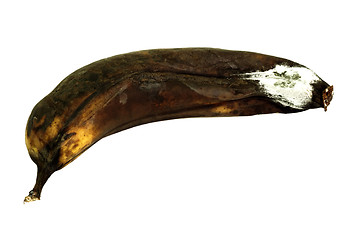 Image showing Mouldy Banana