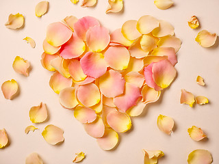 Image showing pink rose petals on beige paper background