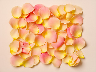 Image showing pink rose petals on beige paper background