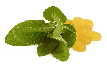 Image showing Sage cough drops