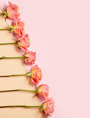 Image showing pink roses on colorful paper background