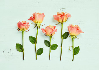 Image showing pink roses on blue wooden background