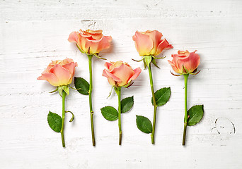 Image showing pink roses on white wooden background