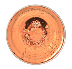 Image showing glass of pink champagne