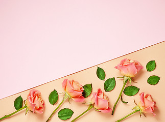 Image showing pink roses on colorful paper background