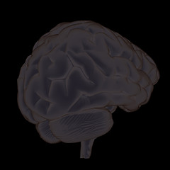 Image showing 3D illustration of human brain