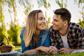 Image showing Just us and a Picnic