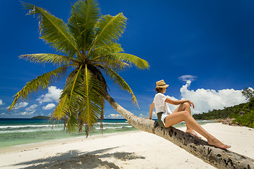 Image showing Relaxing On Palmtree