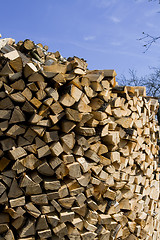 Image showing Firewood