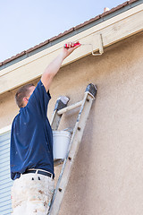 Image showing Professional Painter Using Small Roller to Paint House Fascia