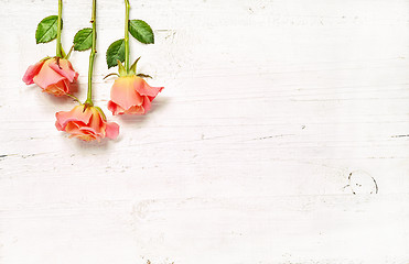 Image showing pink roses on white wooden background