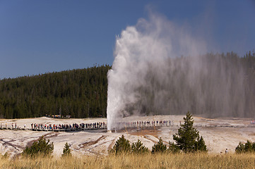 Image showing Yellowstone National Park, Utah, USA