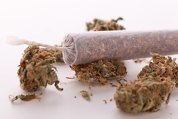 Image showing Close up of dried marijuana leaves and joint