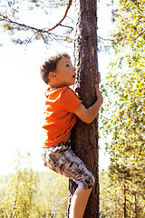 Image showing little cute real boy climbing on tree hight, outdoor lifestyle c