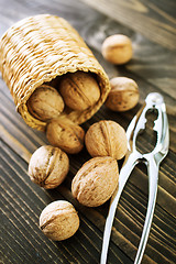 Image showing walnuts