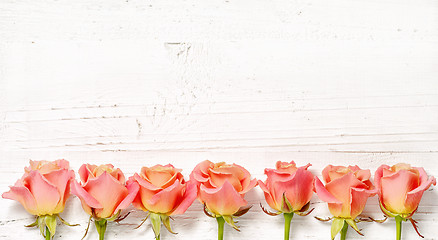Image showing pink roses on white wood background