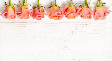 Image showing pink roses on white wood background