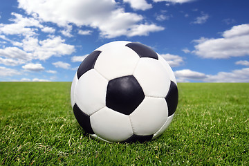 Image showing soccer ball on grass