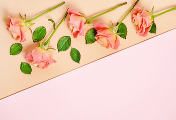 Image showing pink roses on colorful paper background