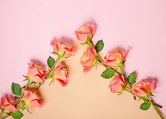 Image showing pink roses on colorful paper background