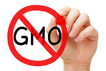 Image showing GMO Prohibition Sign Concept