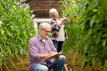 Image showing senior couple growing tomatoes at farm greenhouse