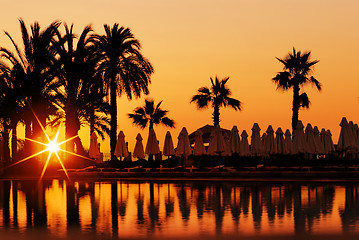 Image showing Sunset and palms in resort