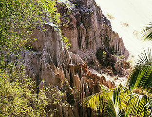 Image showing green landscape with palms and white sand rocks, fairy stream vi