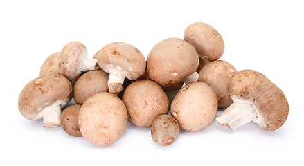 Image showing Heap of chestnut mushrooms showing caps and stalks