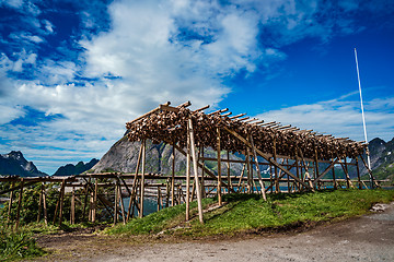 Image showing Fish heads drying on racks