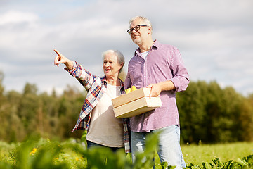 Image showing senior couple with box of vegetables on farm