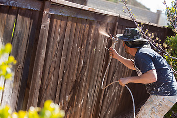 Image showing Professional Painter Spraying Yard Fence with Stain