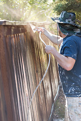 Image showing Professional Painter Spraying Yard Fence with Stain