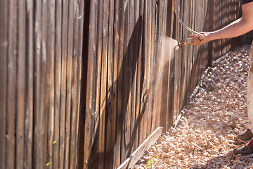 Image showing Professional Painter Spraying Yard Fence with Stain