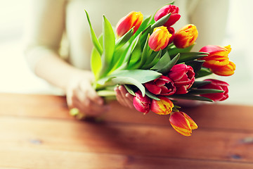 Image showing close up of woman holding tulip flowers