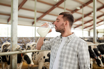 Image showing man or farmer drinking cows milk on dairy farm